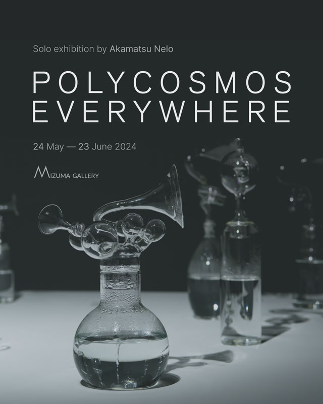 polycosmos